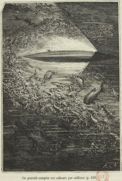 The Nautilus coursing through “millions” of cuttlefish, wood engraving after drawing by Alphonse de Neuville, in Vingt mille lieues sous le mers, by Jules Verne, 1871, copy in Biblioth èque nationale de France (gallica.bnf.fr)