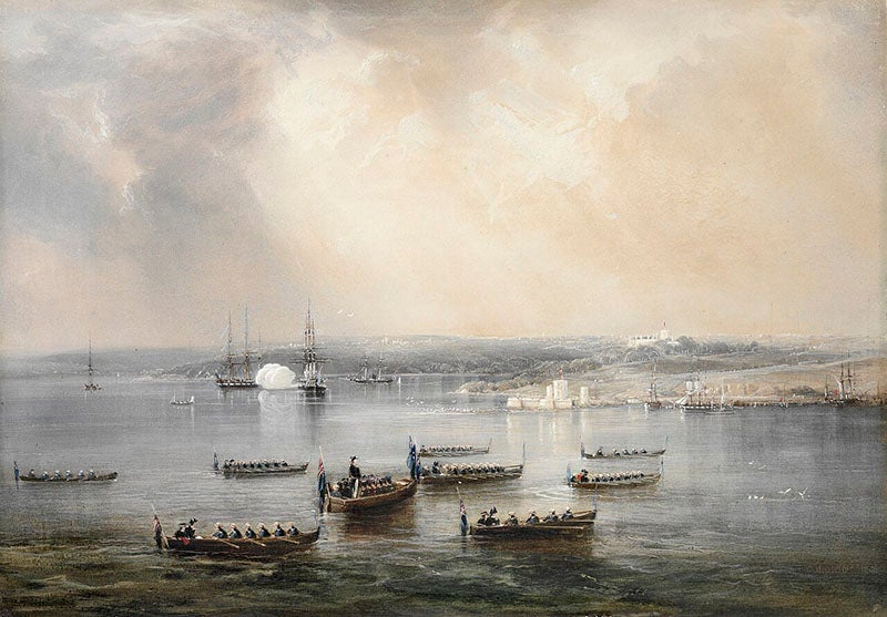 Funeral of Phillip Parker King, Sydney Harbour, 1856, painting by Conrad Martens, State Library of New South Wales (Wikimedia commons)