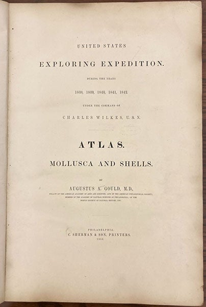 Title page, Mollusca & Shells, by Augustus A. Gould  (vol. 12 of United States Exploring Expedition publications), Atlas vol., 1856 (Linda Hall Librqry)