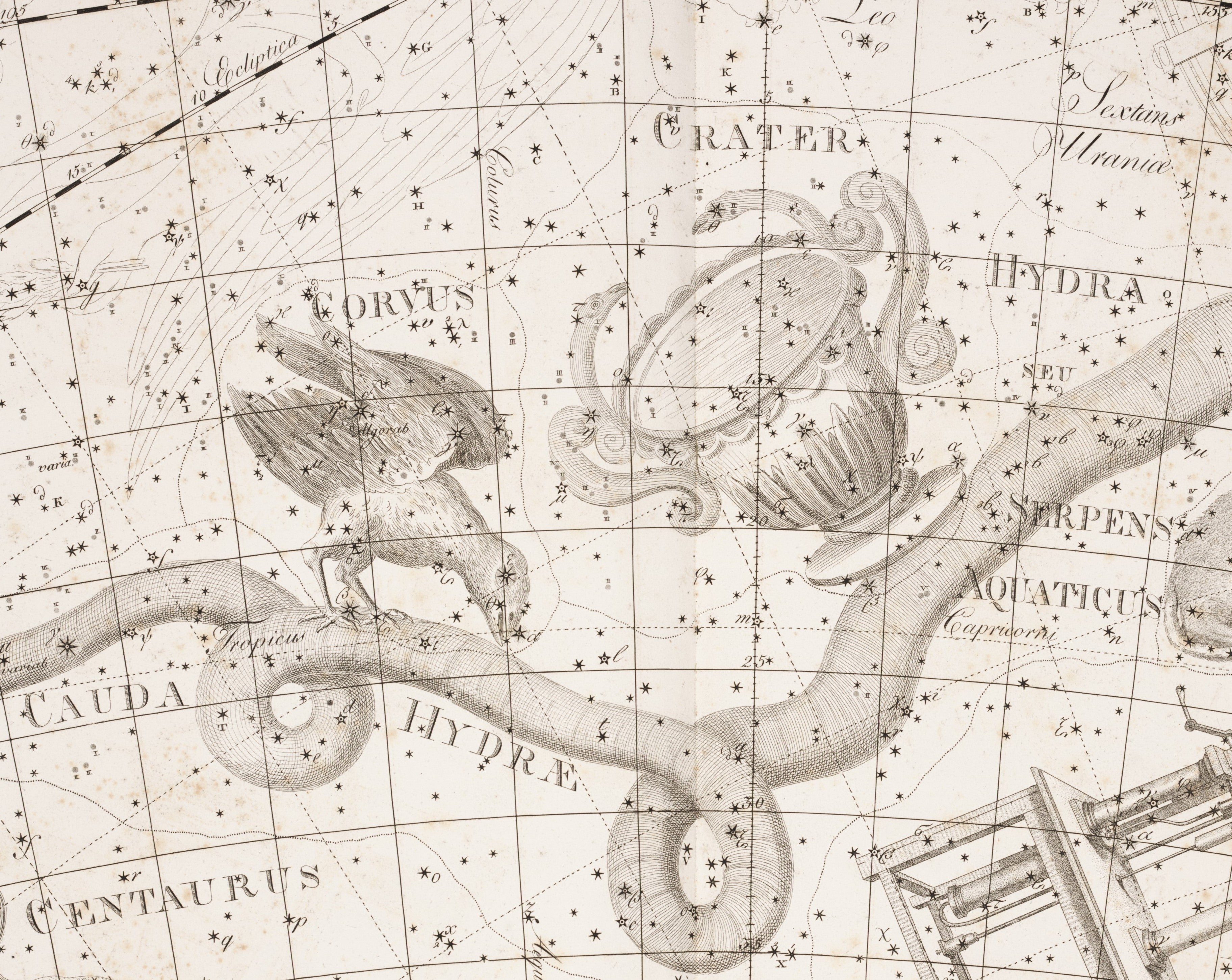 Corvus, Crater, and the tail of Hydra. Image source: Bode, Johann Elert. Uranographia. Berlin: apud Autorim, 1801, pl. 19.
