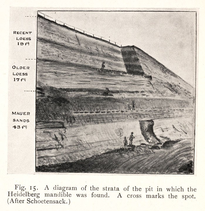 Strata of the sandpits where the Heidelberg mandible was found. Image source: Keith, Arthur. Ancient Types of Man. London & New York: Harper & Brothers, 1911, p. 80.