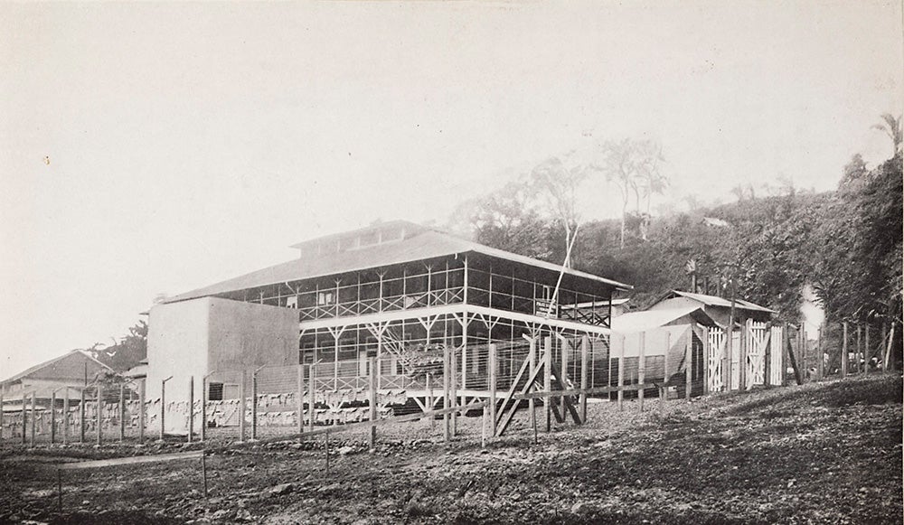 Penitentiary at Culebra.
Most arrests in the Canal Zone were for intoxication or disorderly conduct, but police also patrolled labor camps and towns gathering up idle workers. If workers could not account for their idleness, they could be arrested for vagrancy and fined. If they could not afford the fines, they were sentenced to time in the penitentiary where prisoners were required to work at hard labor 