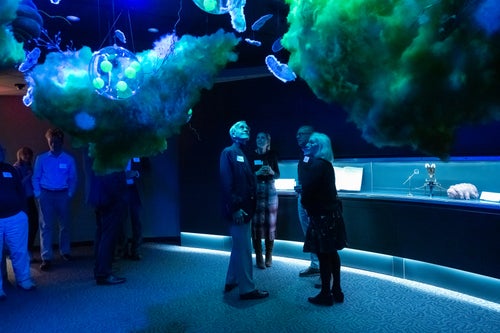 Alchemy of Knowledge Exhibit