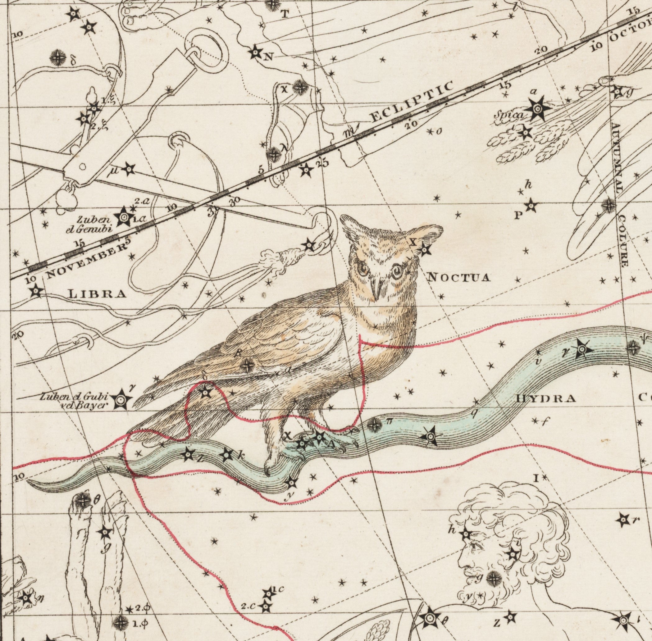 Detail of the tail of Hydra, showing the Noctua. Image source: Jamieson, Alexander. A Celestial Atlas: Comprising a Systematic Display of the Heavens in a Series of Thirty Maps. London: G. & W.B. Whittaker..., 1822, pl. 27.