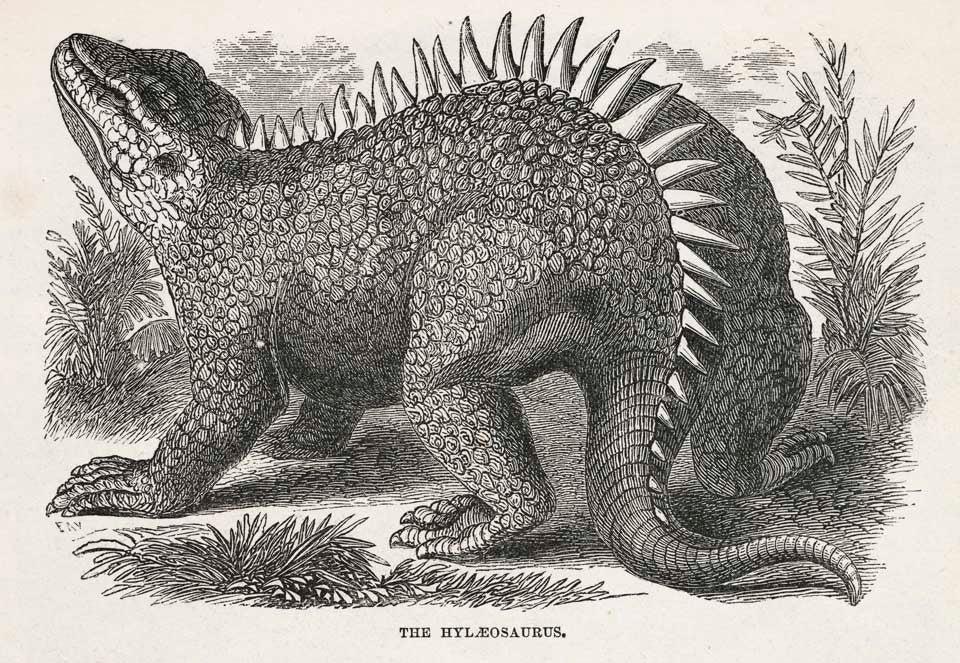 The Hylaeosaurus. This work was on display in the original exhibition as item 7. Image source: Goodrich, Samuel Griswold. Illustrated Natural History of the Animal Kingdom. Vol. 2, New York: Derby & Jackson, 1859, p. 383.