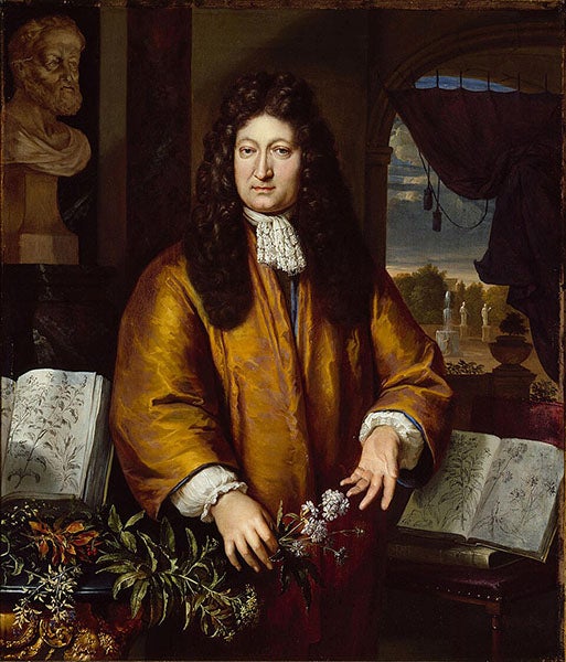 Portrait of Jan Commelin, oil on canvas, by Gerard Hoet, ca 1680, Amsterdam Museum (Wikimedia commons)