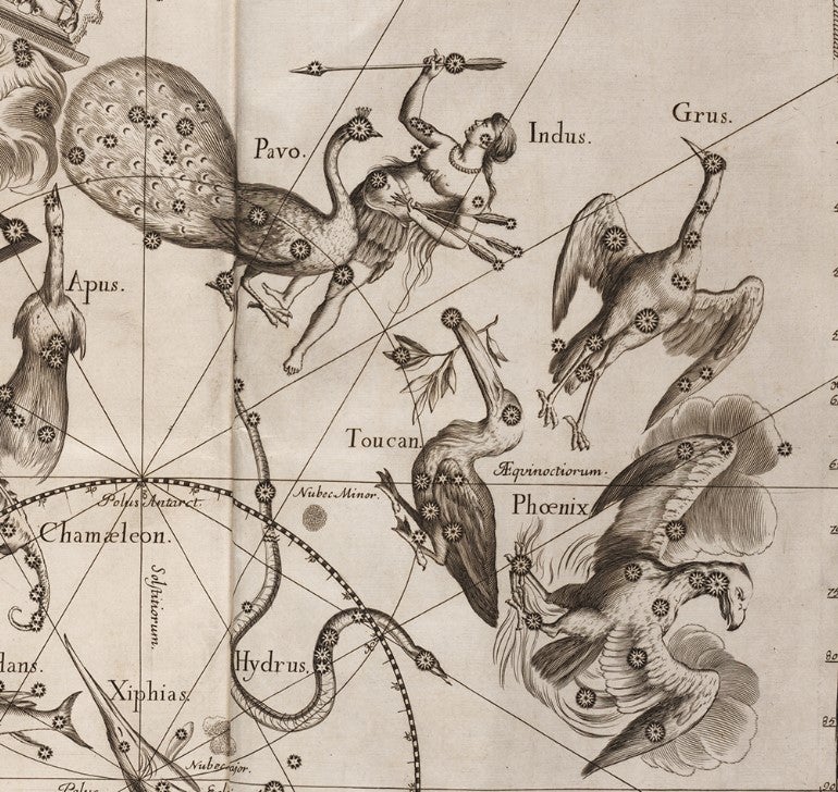 Detail of southern stars by Johannes. Image source: Hevelius, Johannes. Firmamentum Sobiescianum sive Uranographia. Gdansk: typis J.-Z. Stollii, 1690.