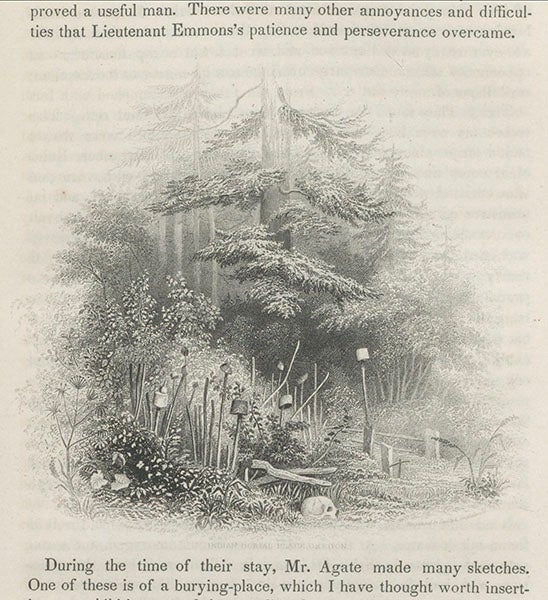 “Indian burial site, southern Oregon chapter,” text wood engraving after a drawing by Alfred Agate, in Charles Wilkes, Narrative of the United States Exploring Expedition, 1845 (Linda Hall Library)