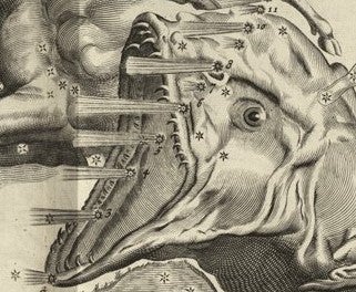 Detail of Cetus and comet. Image source: Lubieniecki, Stanisław. Theatrum cometicum. Vol. 1, Amsterdam: Typis Danielis Baccamude, 1666.