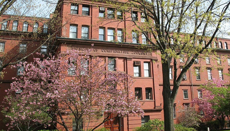 Museum of Comparative Zoology, Harvard, recent photograph (tripadvisor.com)