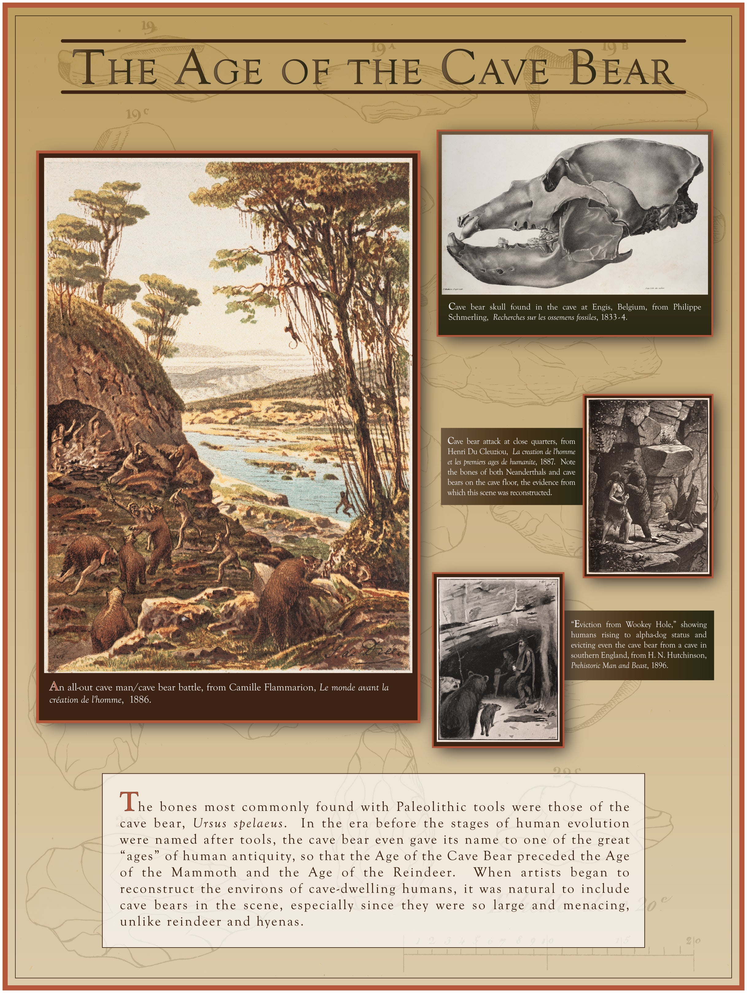 The Age of the Cave Bear
Cave Bear and cave men are a recuring them in early restoration, late 1800s. 