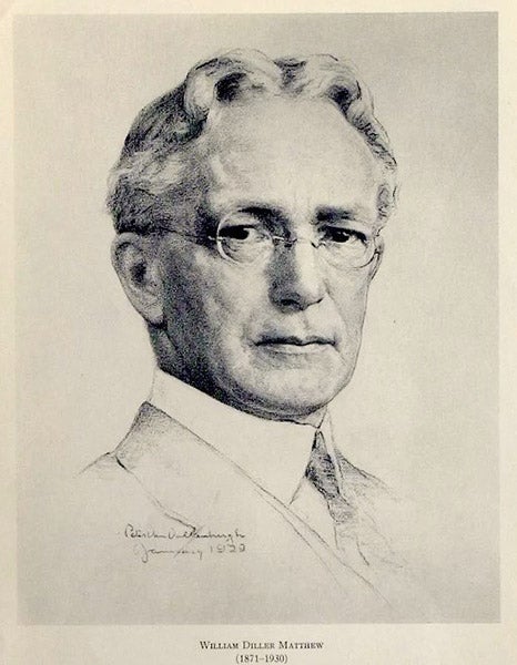 Portrait of William Diller Matthew, charcoal sketch, by Peter Van Vollenburgh, Bulletin of the American Museum of Natural History, vol. 117, 1922 (Linda Hall Library)