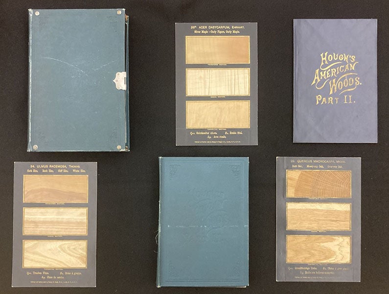 Volume 2 of The American Woods, Exhibited by Actual Specimens and with Copious Explanatory Text, by Romeyn Beck Hough, showing outer case and inner slipcase, text volume, and three of the cards with wood slices (The Linda Hall)