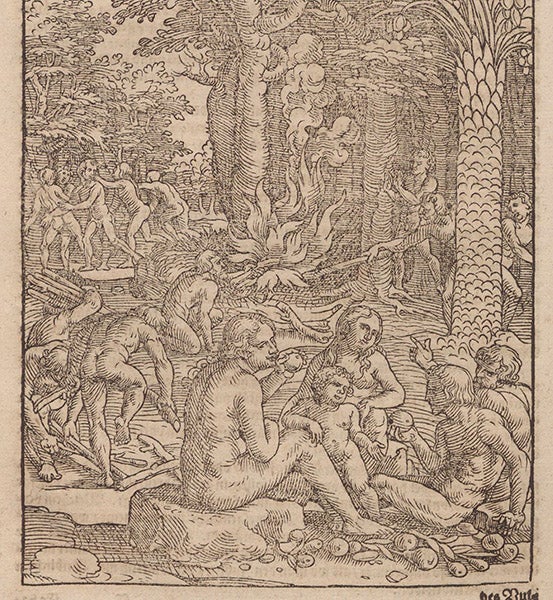 Discovering fire, illustrating a story in Vitruvius, woodcut, Bawkunst, oder, Architectur, by Walther Hermann Ryff, 3rd ed., p. 130, 1582 (The Linda Hall)