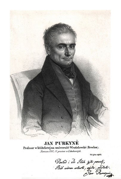 Portrait of Jan Evangelista Purkynĕ, engraving, undated, Smithsonian Libraries (library.si.edu)