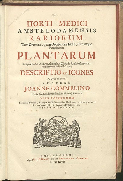 Title page, Horti medici amstelodamensis, by Jan Commelin, vol. 1, 1697 (Linda Hall Library)