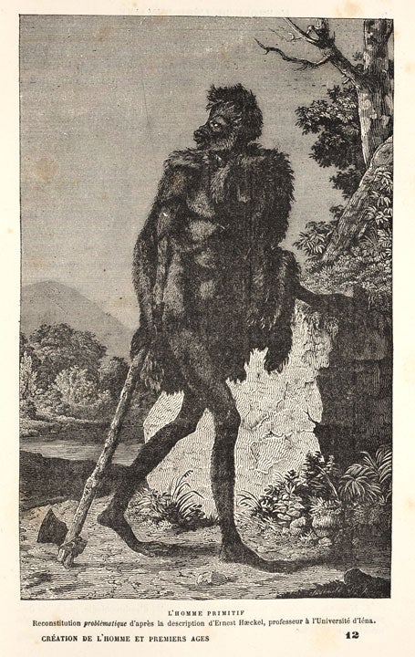 Problematic reconstruction of Pithecanthropus, by Ernest Haeckel. Image source: Du Cleuziou, Henri. La creation de l'homme et les premiers ages de humanite. Paris: Marpon and Flammarion, 1887, p. 89.