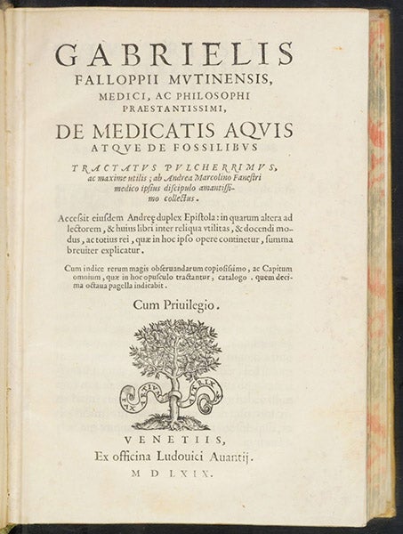 Title page, De medicatis aquis, atque de fossilibus, by Gabriele Falloppio, 1569 (The Linda Hall)