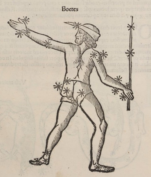 Bootes the Herdsman constellation. Image source: Hyginus. De mundi et sphere. Venice: Per Melchiorem Sessa, 1512.