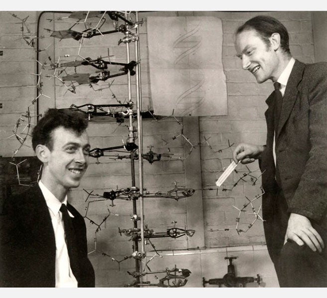 Francis Crick (right) and James Watson, with their model of DNA, photograph by Antony Barrington Brown, one of many taken in their lab on May 21, 1953, National Portrait Gallery, London (npg.org.uk)