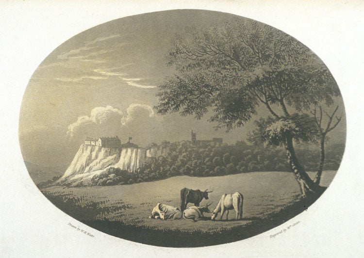 View of Stirling Castle in background. Image source: Garnett, Thomas. Observations on a Tour through the Highlands and Part of the Western Isles of Scotland, Particularly Staffa and Icolmkill... Vol. 2, London: Printed by Luke Hansaard for T. Dadell, Junior & W. Davies, 1800.