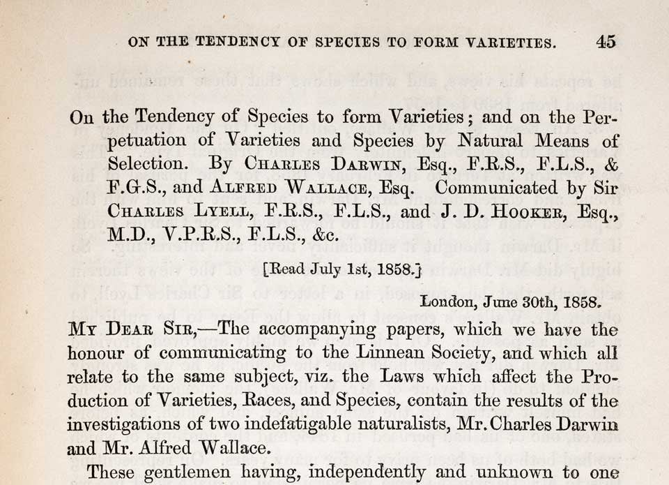 First paragraph of the joint paper by Charles Darwin and Alfred R. Wallace. Image source: Darwin, Charles, and Alfred Russel Wallace. "On the Tendency of Species to form Varieties and Species by Natural Means of Selection." Journal of the Proceedings of the Linnean Society, vol. 3, 1858, p. 45.