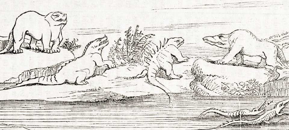 Marine reptiles by Benjamin W. Hawkins. This work was on display in the original exhibition as item 5. Image source: Hawkins, Benjamin Waterhouse. "On visual education as applied to geology," in: Journal of the Society of Arts, vol. 2 (1854), p. 446. 