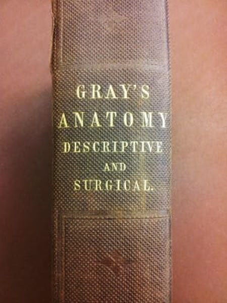 Spine of the copy of the first edition of Gray’s Anatomy, 1858, in the Library of the Royal College of Surgeons, London (rcseng.ac.uk)