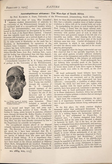 Raymond’s announcement. Image source: Dart, Raymond. ”Australopithecus africanus: The Man-Ape of South Africa.” Nature, vol. 115, Feb. 7, 1925, p. 195.