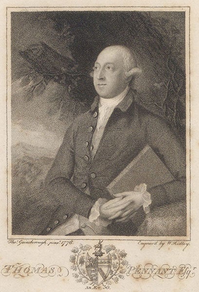 Portrait of Thomas Pennant, engraved frontispiece by W. Ridley, 1793, after a painting by Thomas Gainsborough, 1776, in The Literary Life of the late Thomas Pennant, by Thomas Pennant, 1793 (Linda Hall Library)