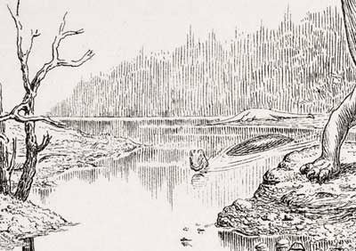 Detail of swimming Diplodocus. This work was on display in the original exhibition as item 25. Image source: Hay, Oliver P. "On the manner of locomotion of the dinosaurs, especially Diplodocus, with remarks on the origin of the birds," in: Proceedings of the Washington Academy of Sciences, vol. 12 (1910), pl. 1. 