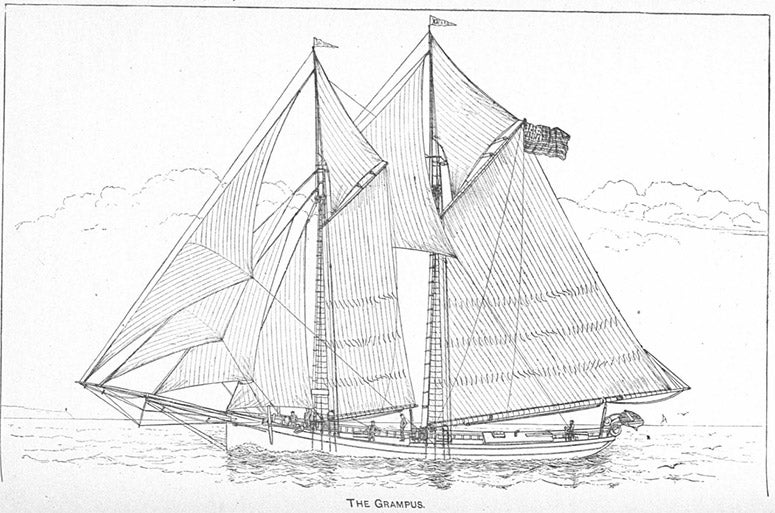 USFC Grampus, drawing of 1889; later, after the formation of the Bureau of Fisheries in 1903, the USFS Grampus, based at Woods Hole, used by Henry Bigelow to study the Gulf of Maine, 1912-1917 (Wikimedia commons)