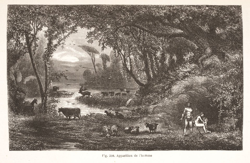 Apparition of man. Image source: Figuier, Louis. La terre avant le deluge. Paris: Libraire de L. Hachette, 1863, p. 363, fig. 310.