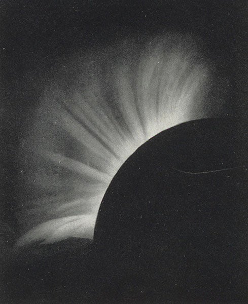 The solar corona observed on May 18, 1901, based on a photographic by Annie Maunder, in Annie and Edward Maunder, <i>The Heavens and Their Story</i>, 1908 (Linda Hall Library)