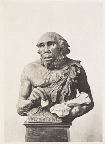 Neanderthal man. Image source: Rutot, Aimé. Un essai de reconstitution plastique des races humaines primitives. Brussels: Hayez, 1919, pl. 8.