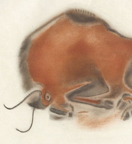 Charging bison, photoprint of a drawing by Henri Breuil, slightly cropped, La caverne d'Altamira a Santillane, by Émile Cartailhac and abbé Henri Breuil, plate XXVII, 1906 (The Linda Hall)