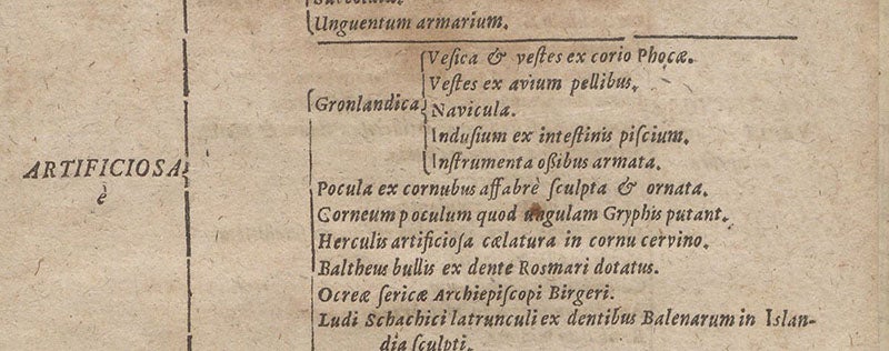Description of the kayak in Ole Worm’s museum, Synopsis methodica rariorum in Musaeo ... Olai Wormii, by Georg Seger, detail of p. 43, 1653 (Linda Hall Library)