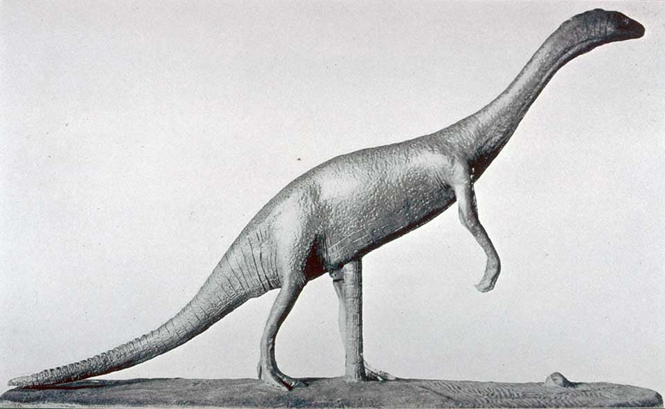Restoration of Anchisaurus. This work was on display in the original exhibition as item 38. Image source: Lull, Richard Swann. Triassic Life of the Connecticut Valley. Hartford: Published by the State, 1915. Series: Connecticut. State Geological and Natural History Survey. Bulletin no. 24, pl. 4.