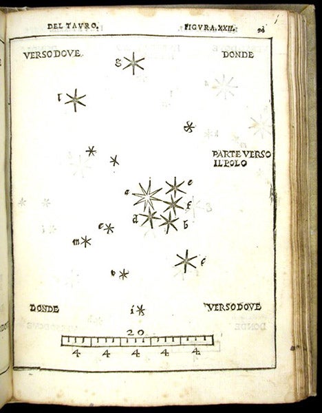 The constellation Taurus, woodcut in De la sfera del mondo … De le stelle fisse, by Alessandro Piccolomini, plate 22, 1540 (Linda Hall Library)