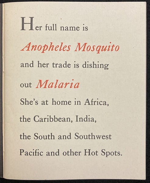 First page of text, by Munro Leaf, This is Ann, [by Theodor Seuss Geisel and Munro Leaf], p. 3, 1943 (The Linda Hall)
