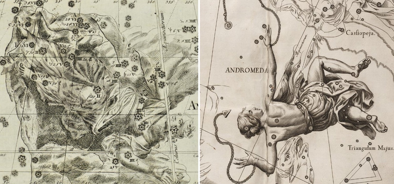 L: Andromeda by Thomas. Image source: Thomas, Corbinianus. Mercurii philosophici firmamentum firmianum. Frankfurt; Leipzig: [s.n.], 1730.

R: Andromeda by Johannes. Image source: Hevelius, Johannes. Firmamentum Sobiescianum sive Uranographia. Gdansk: typis J.-Z. Stollii, 1690.
