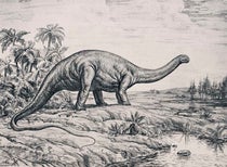 Life restoration of Apatosaurus, charcoal on paper, by Andrey Avinoff, printed as frontispiece in Memoirs of the Carnegie Museum, vol. 11, no. 4, 1936 (Linda Hall Library)