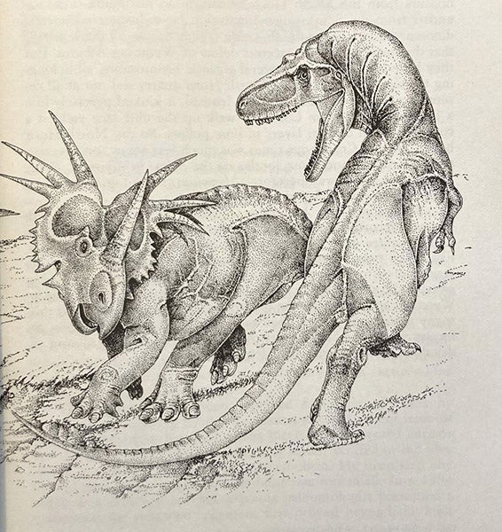 Albertosaurus attacking a Styracosaurus, drawing by Robert Bakker, in his The Dinosaur Heresies: New Theories Unlocking the Mystery of the Dinosaurs and their Extinction, p. 123, 1986 (author’s copy)