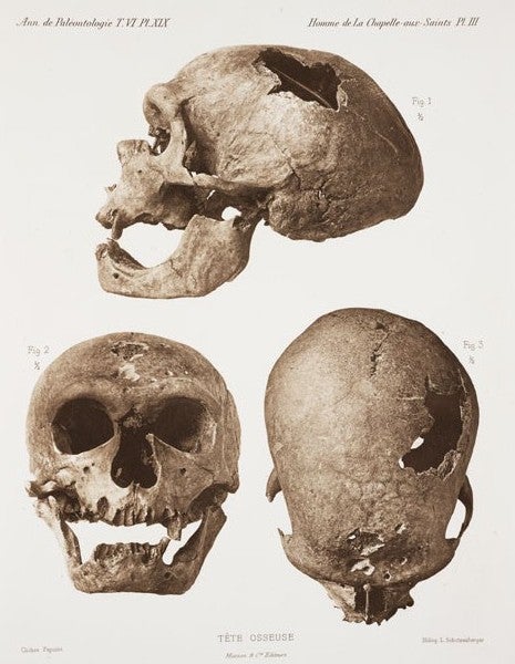 Skull found at La Chapelle-aux-Saints. Image source: Boule, Marcelin. “L’Homme fossile de La Chapelle-aux-Saints.” Annales de Paleontologie, vol. 6, 1911, pl. 19 (3).