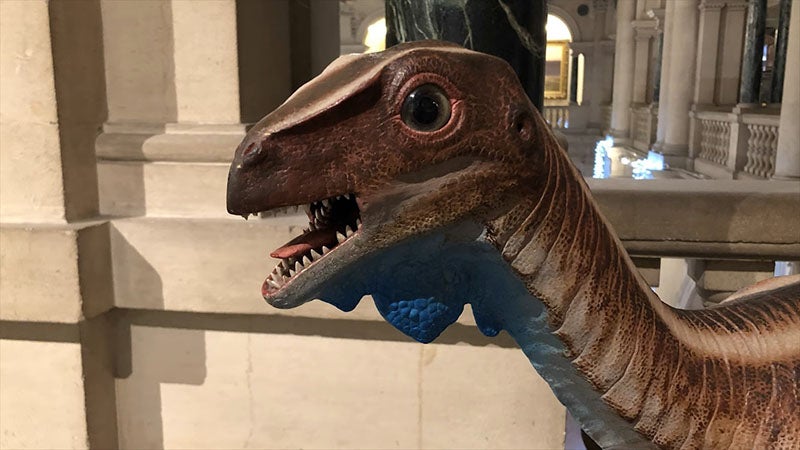 Full-sized model restoration of Thecodontosaurus in the Bristol Museum, from a video series called Gibble’s Globe (youtube.com)
