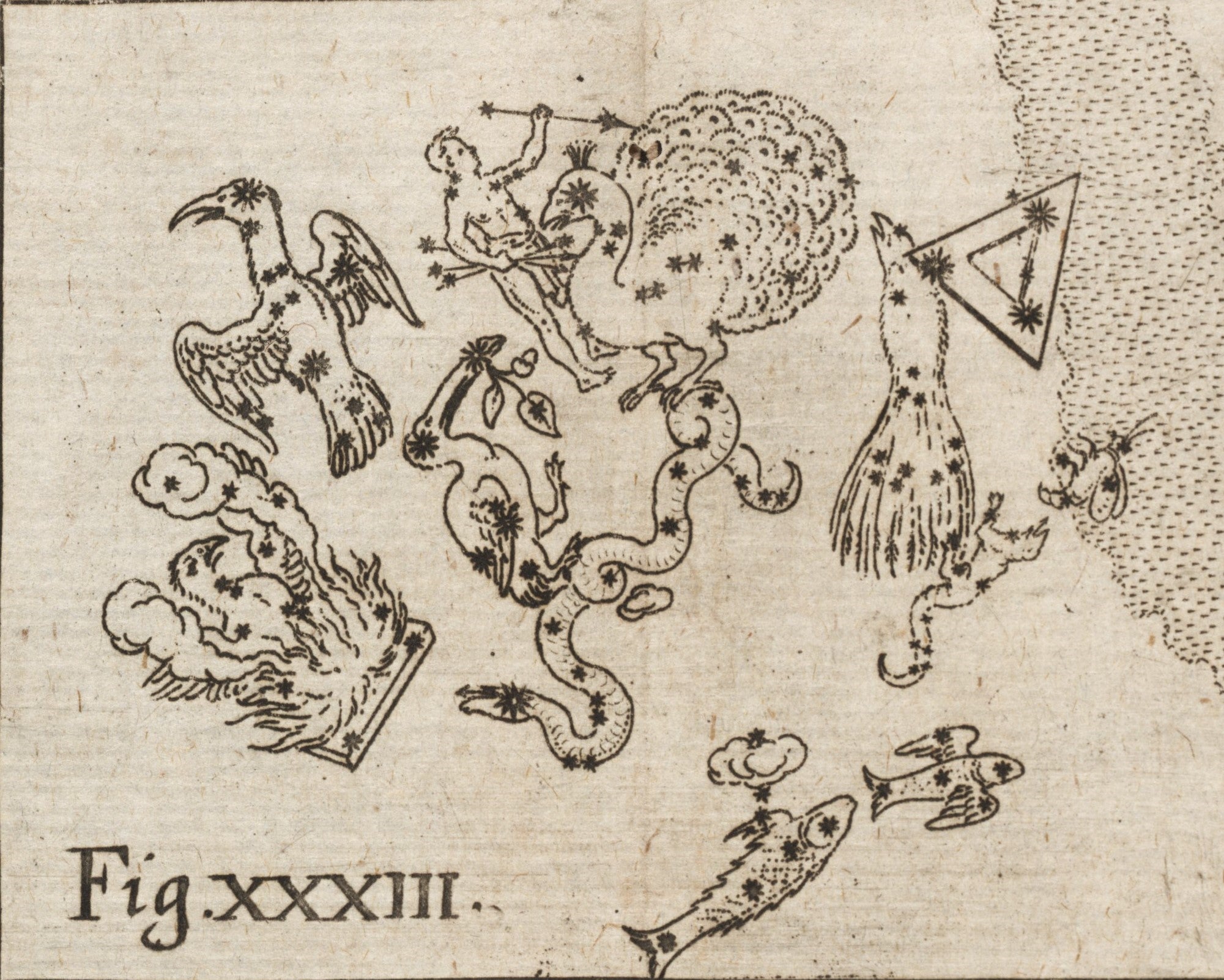 The Southern constellations. Image source: Strauch, Aegidius. Astrognosia, synoptice et methodice…. Editio secunda. Wittenberg: Sumptibus Haered, et al, 1668, pl. 33.
