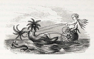 Sea-cucumber chariot. Image source: Forbes, Edward. A History of British Star-Fishes, and Other Animals of the Class Echinodermata. London: John Van Voorst, 1841, p. 19.