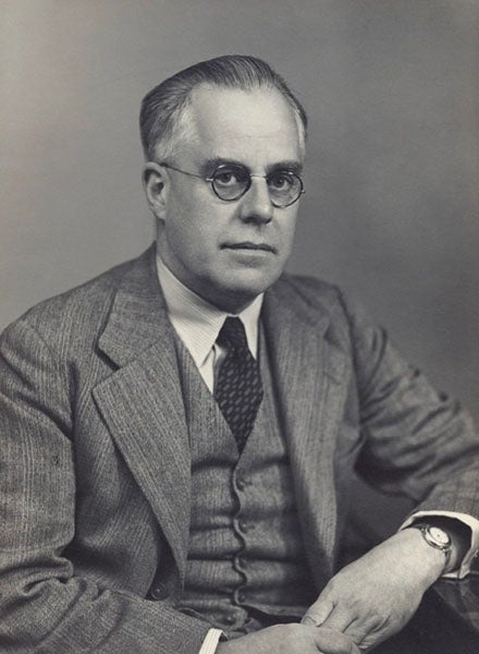 Portrait of Wilfrid Le Gros Clark, photograph by Walter Stoneman, 1949, National Portrait Gallery, London (npg.org.uk)