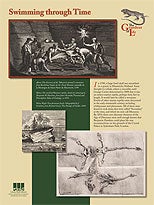 Swimming through Time