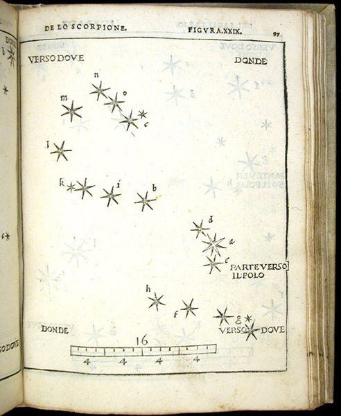 The constellation Scorpius, woodcut in De la sfera del mondo … De le stelle fisse, by Alessandro Piccolomini, plate 29, 1540 (Linda Hall Library)